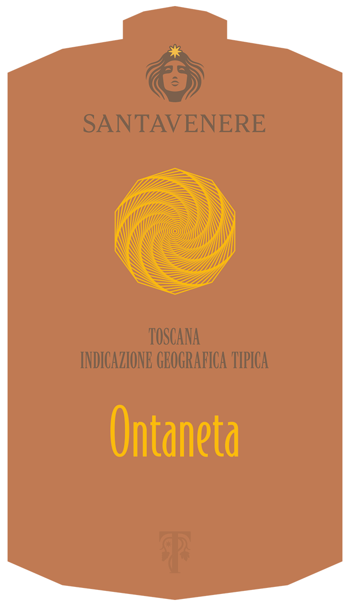 Ontaneta 2016