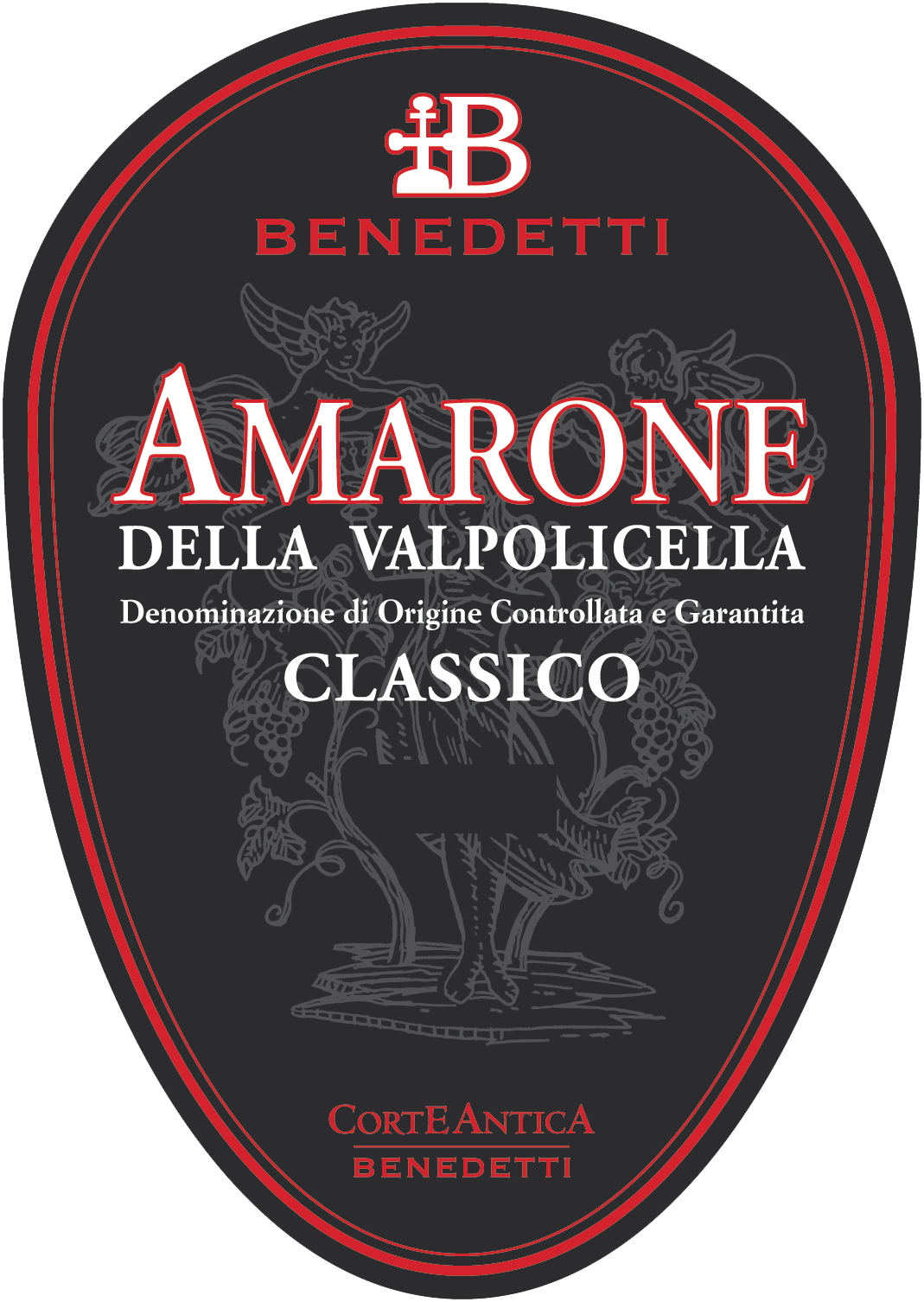 Amarone della Valpolicella Classico 2010