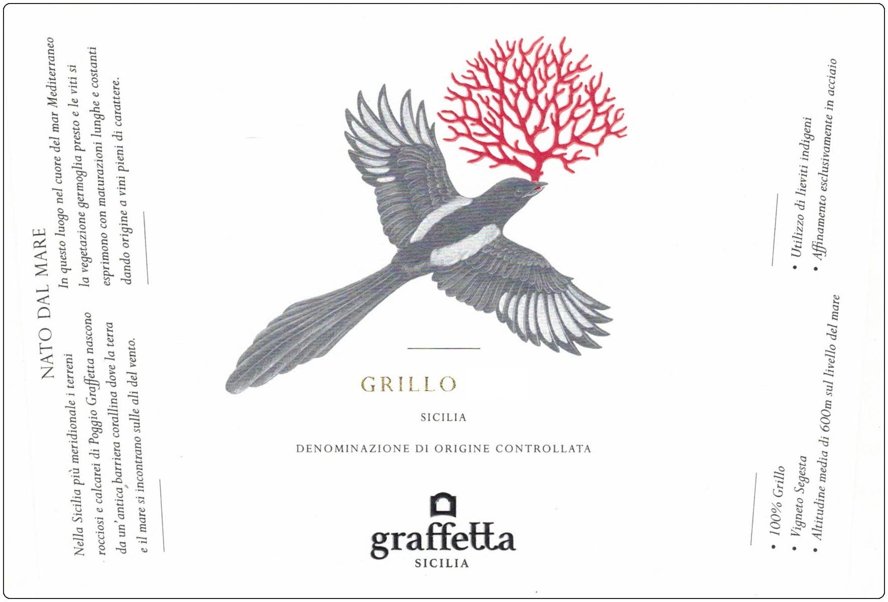 Grillo 2019