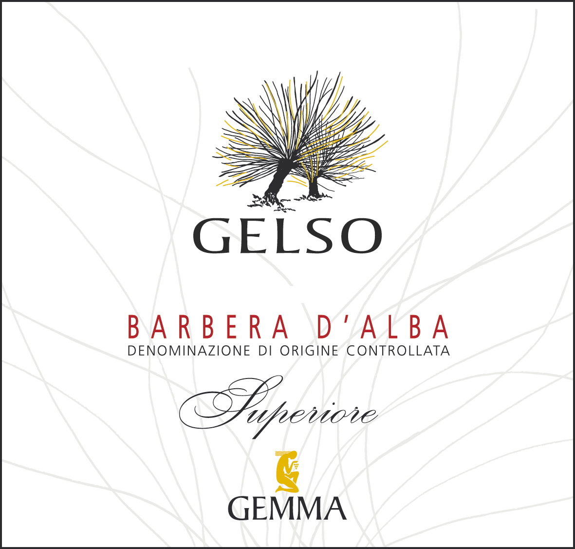 Barbera d'Alba Gelso 2015