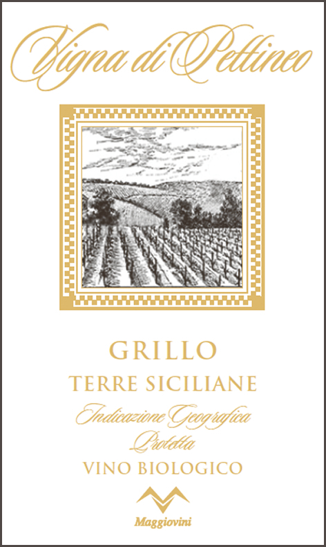 Grillo Vigna di Pettineo 2016