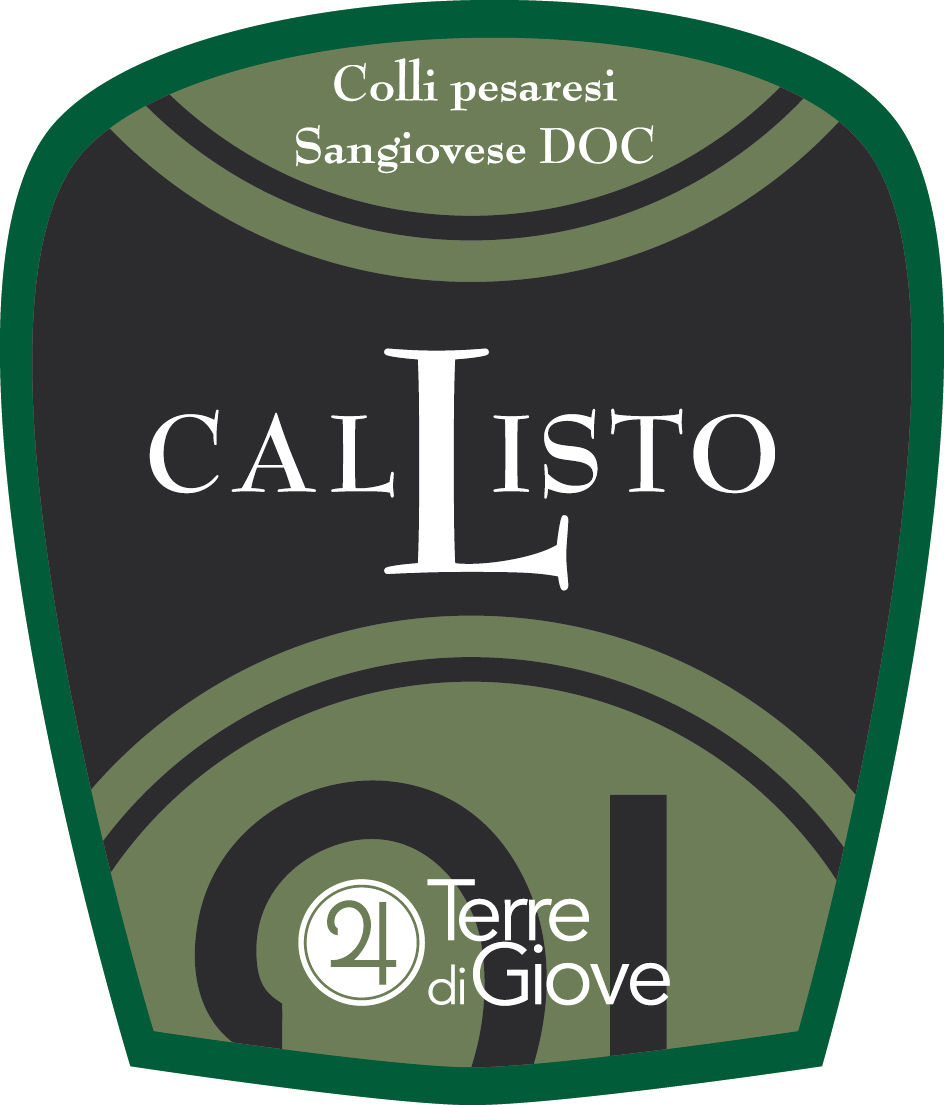 Callisto 2013