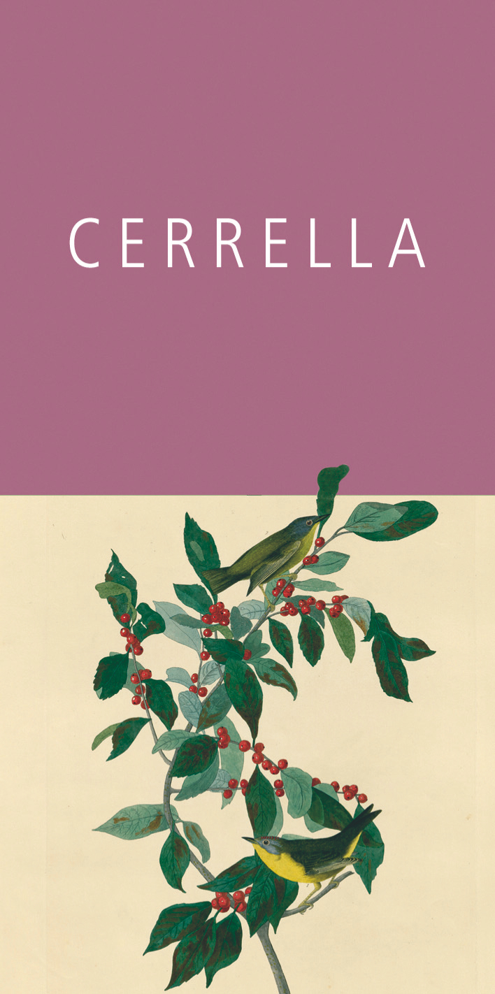 Aglianico Cerrella 2013
