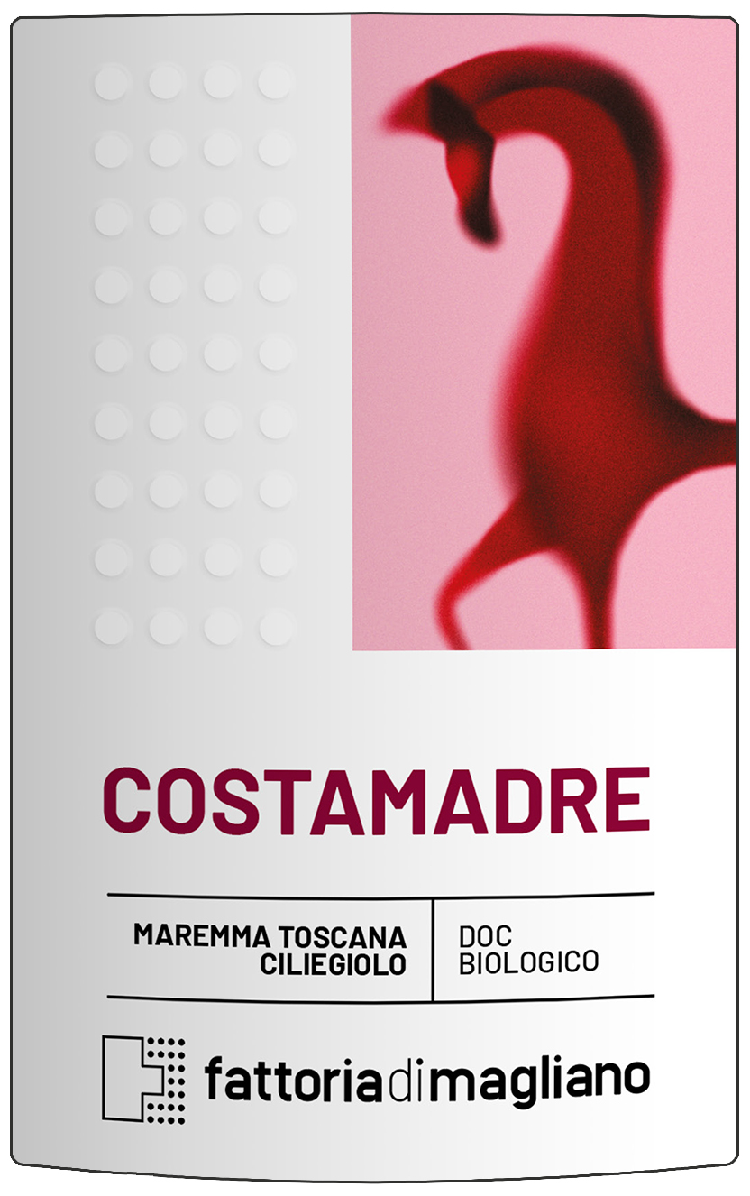 Costamadre 2024