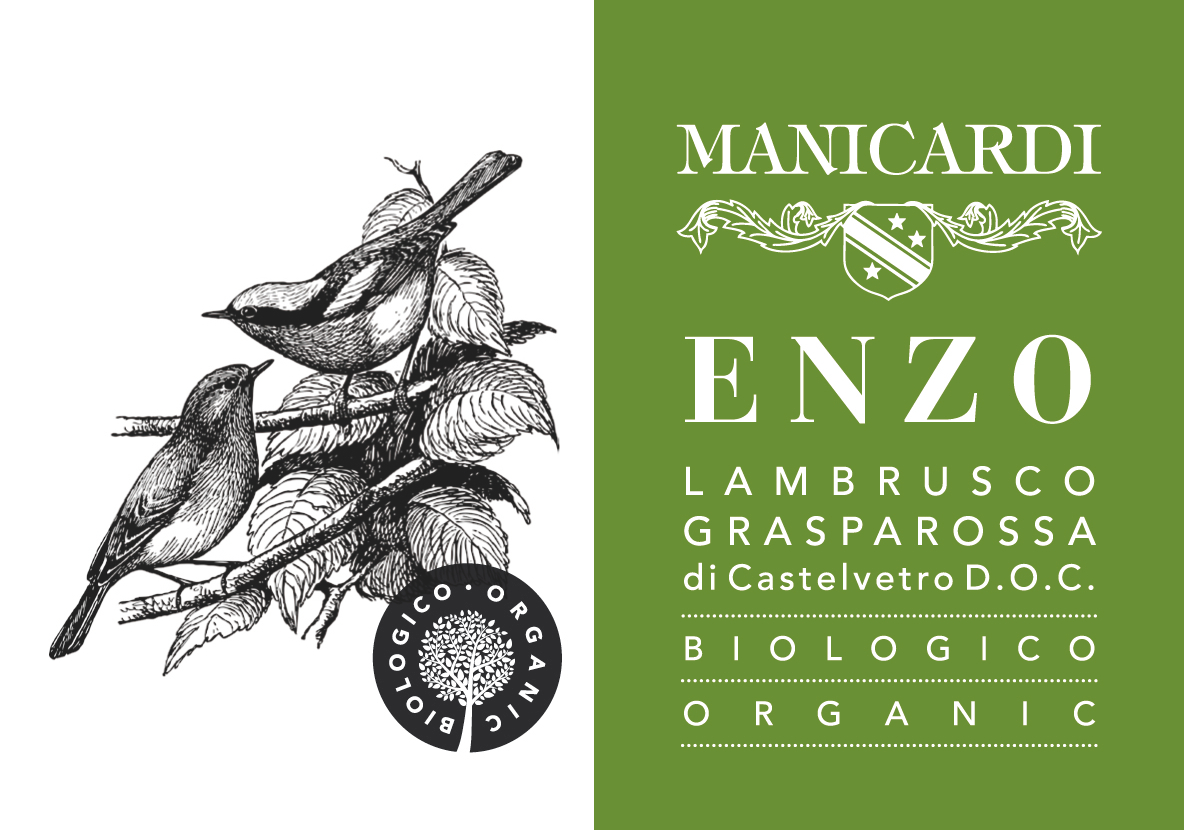 Enzo Lambrusco Grasparossa Bio 2016