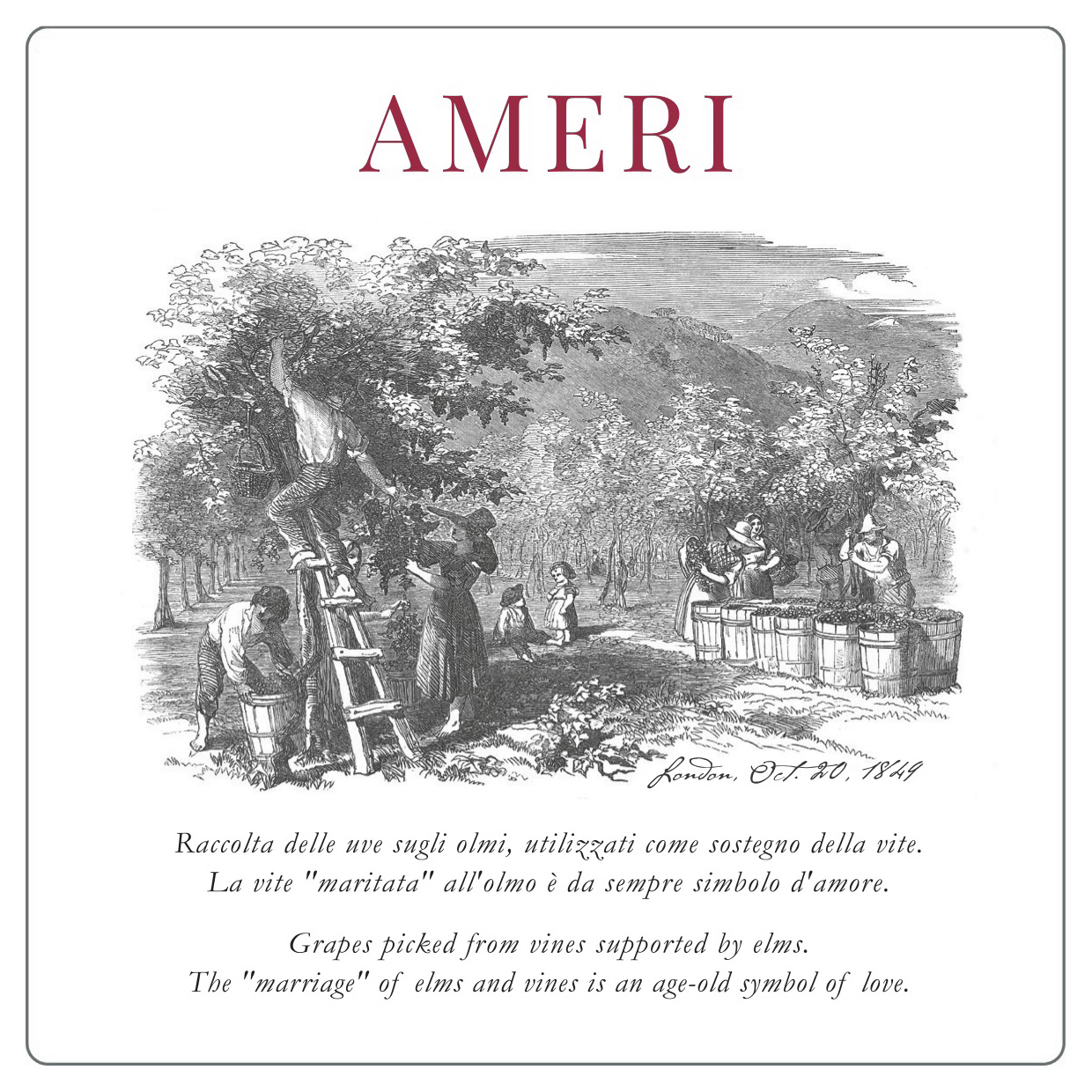 Ameri 2015
