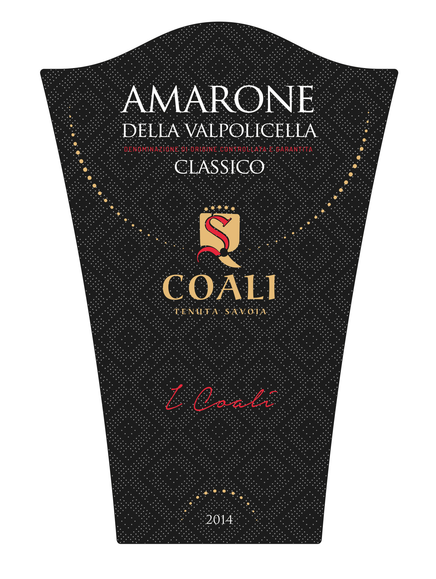 Amarone della Valpolicella Classico I Coali 2014