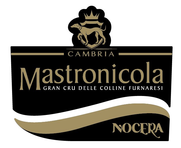 Mastronicola 2018