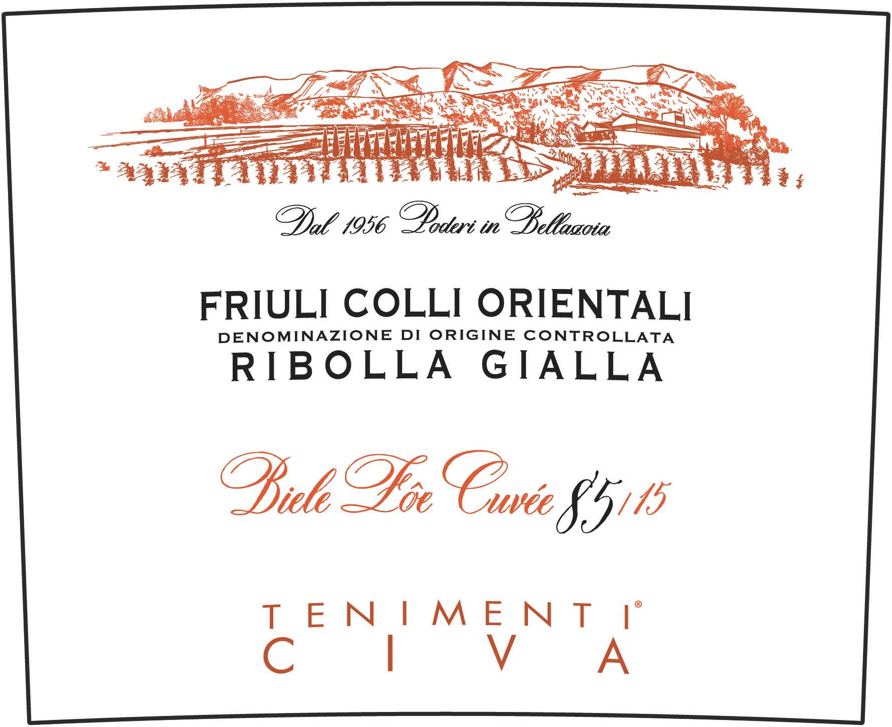 Ribolla Gialla  2017