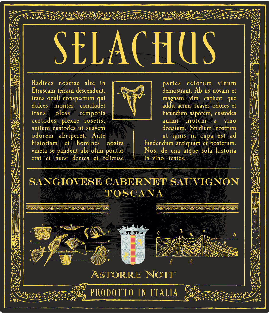 Selachus 2016