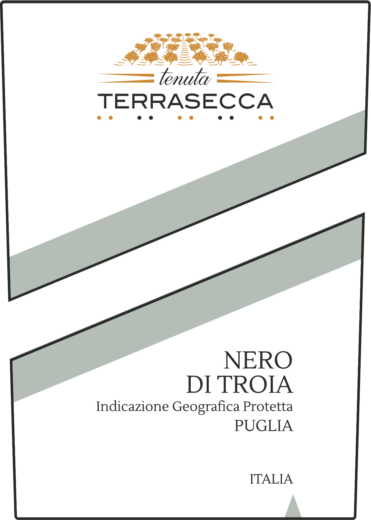 Nero di Troia Terrasecca 2017