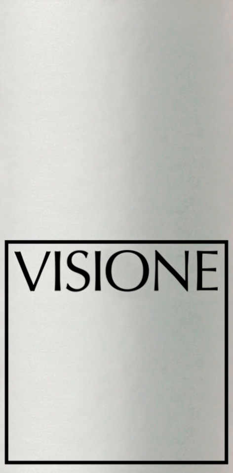 Visione 2020