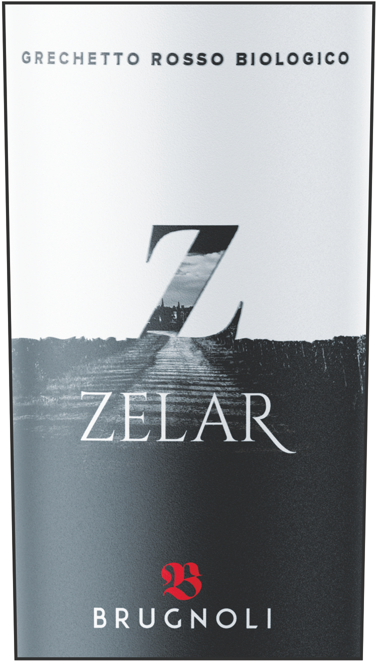 Zelar 2017