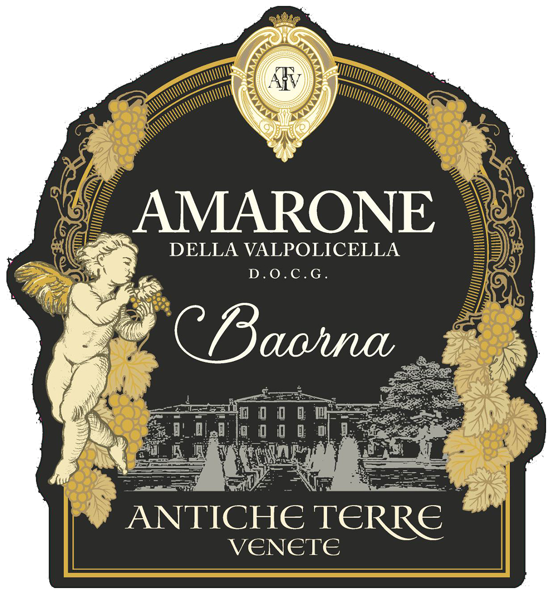 Amarone della Valpolicella Baorna Docg 2022