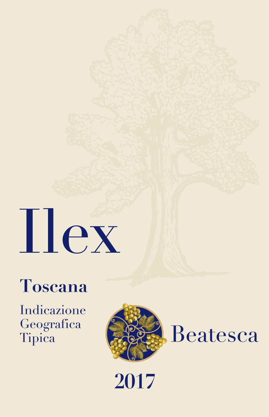 Ilex 2017