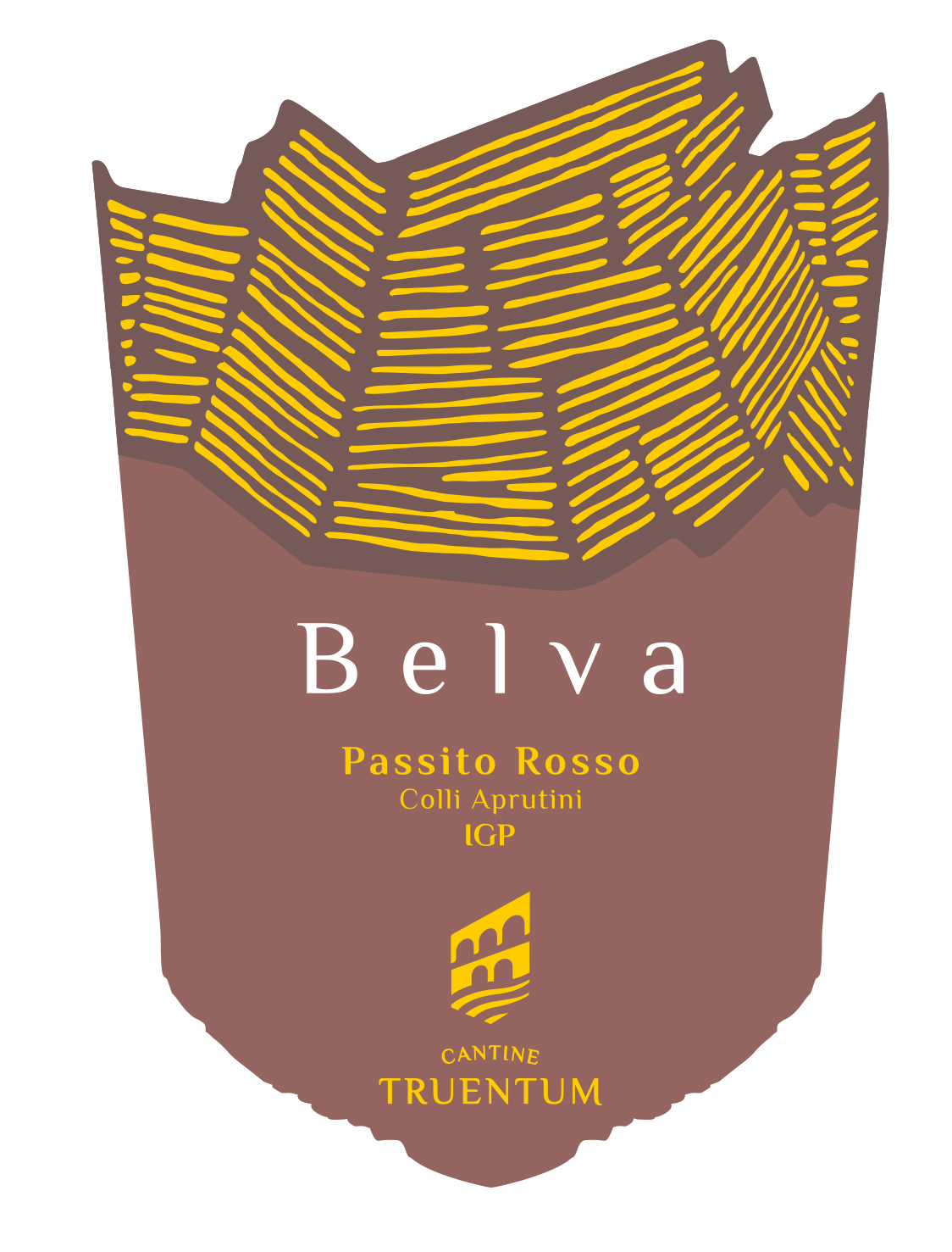 Truentum Belva Rosso Passito Colli Aprutini Igt 2022