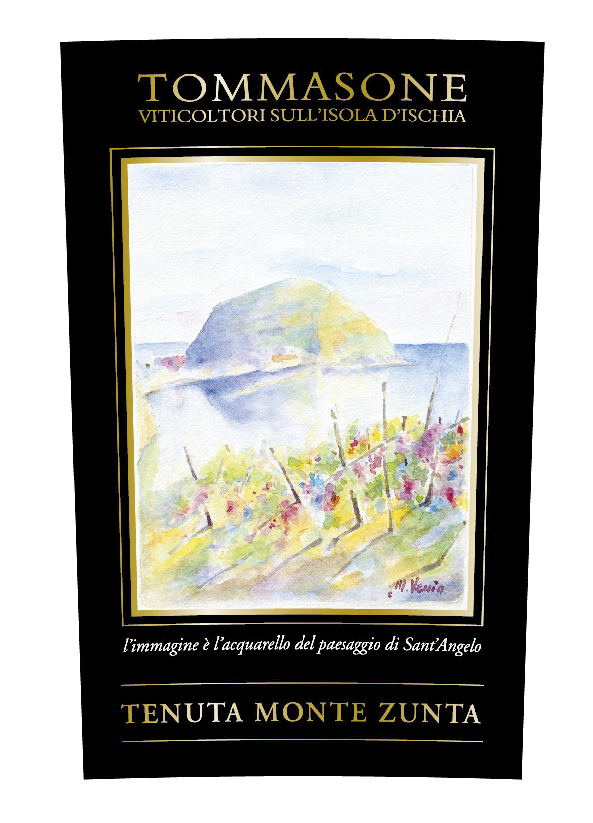 Tenuta Monte Zunta 2019
