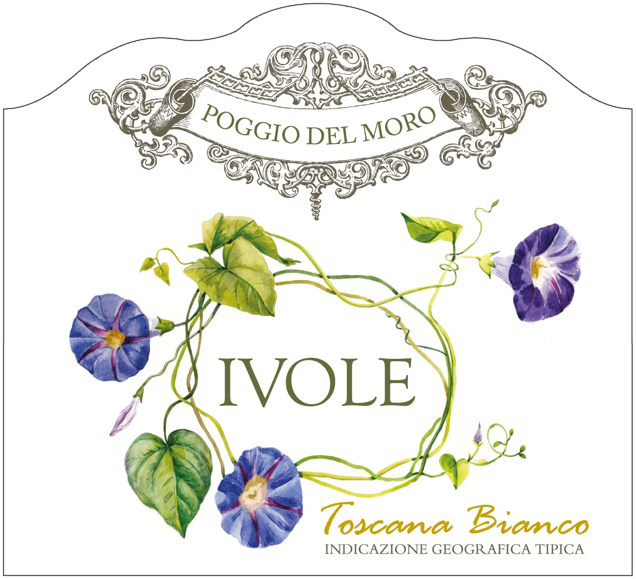 Ivole Igt 2018
