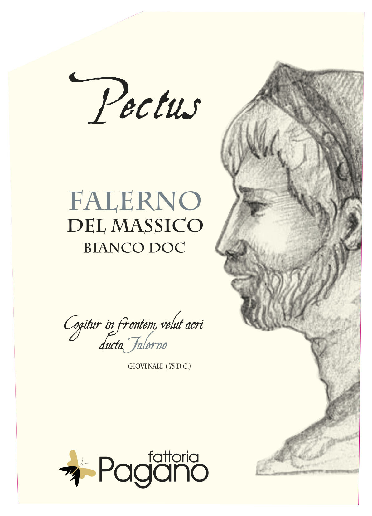 Pectus Falerno del Massico 2018