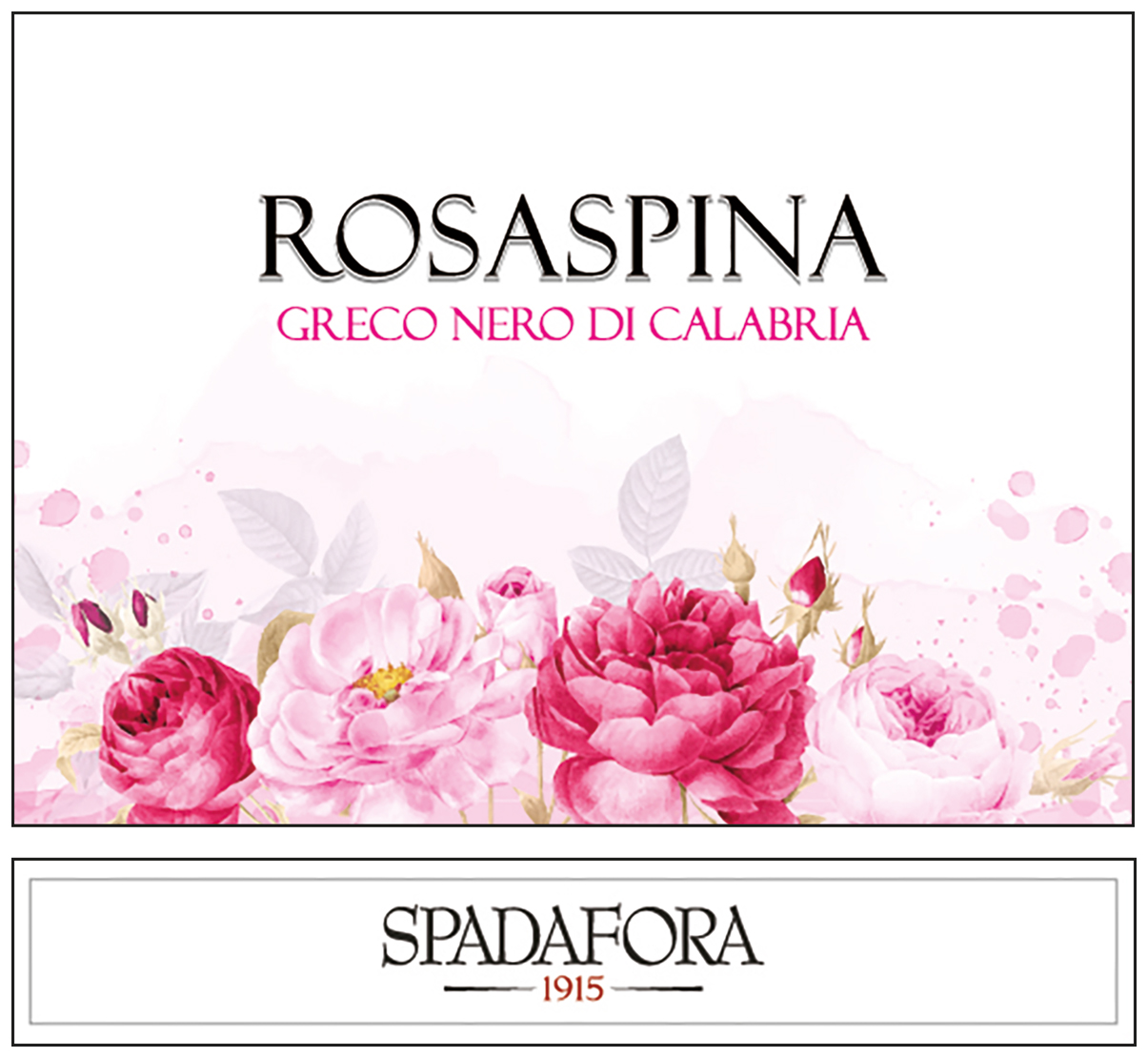 Rosaspina Greco Nero 2019