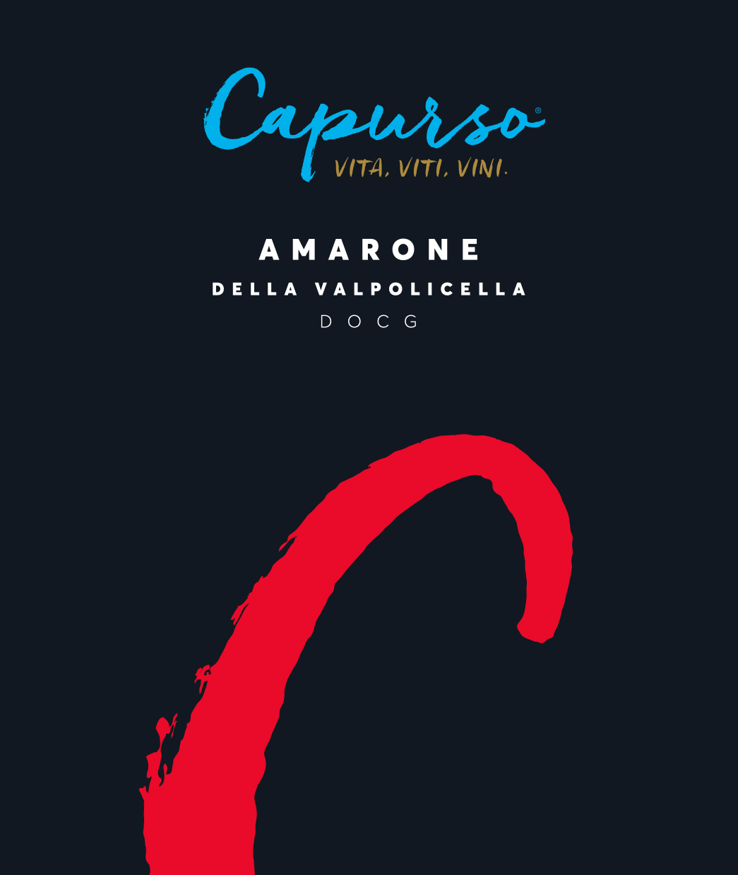 Amarone della Valpolicella 2015