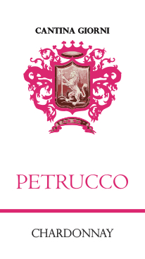 Petrucco 2019