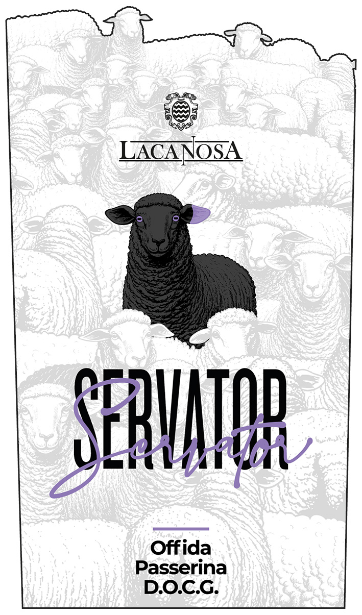 Servator Passerina 2024