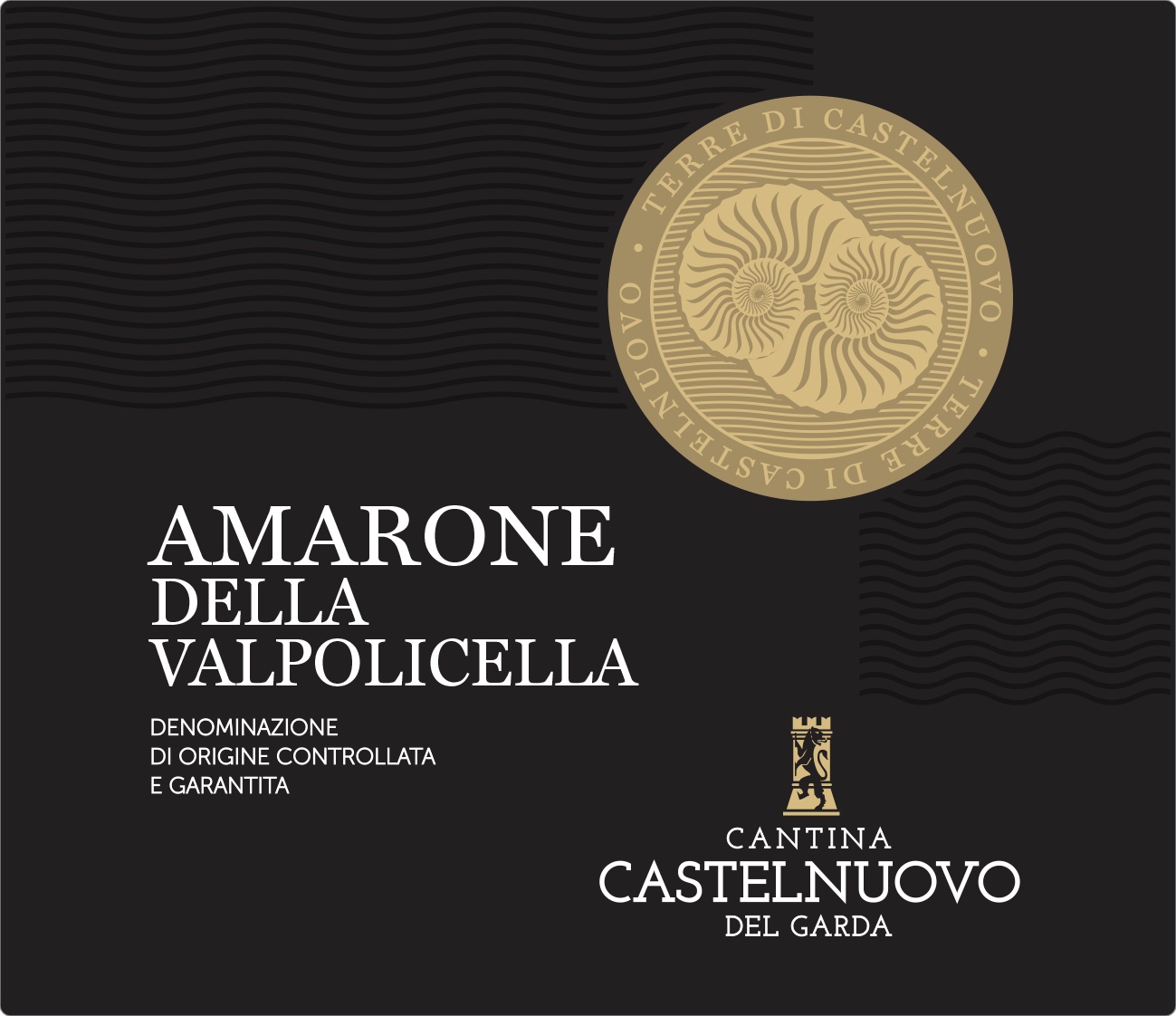 Amarone della Valpolicella 2016