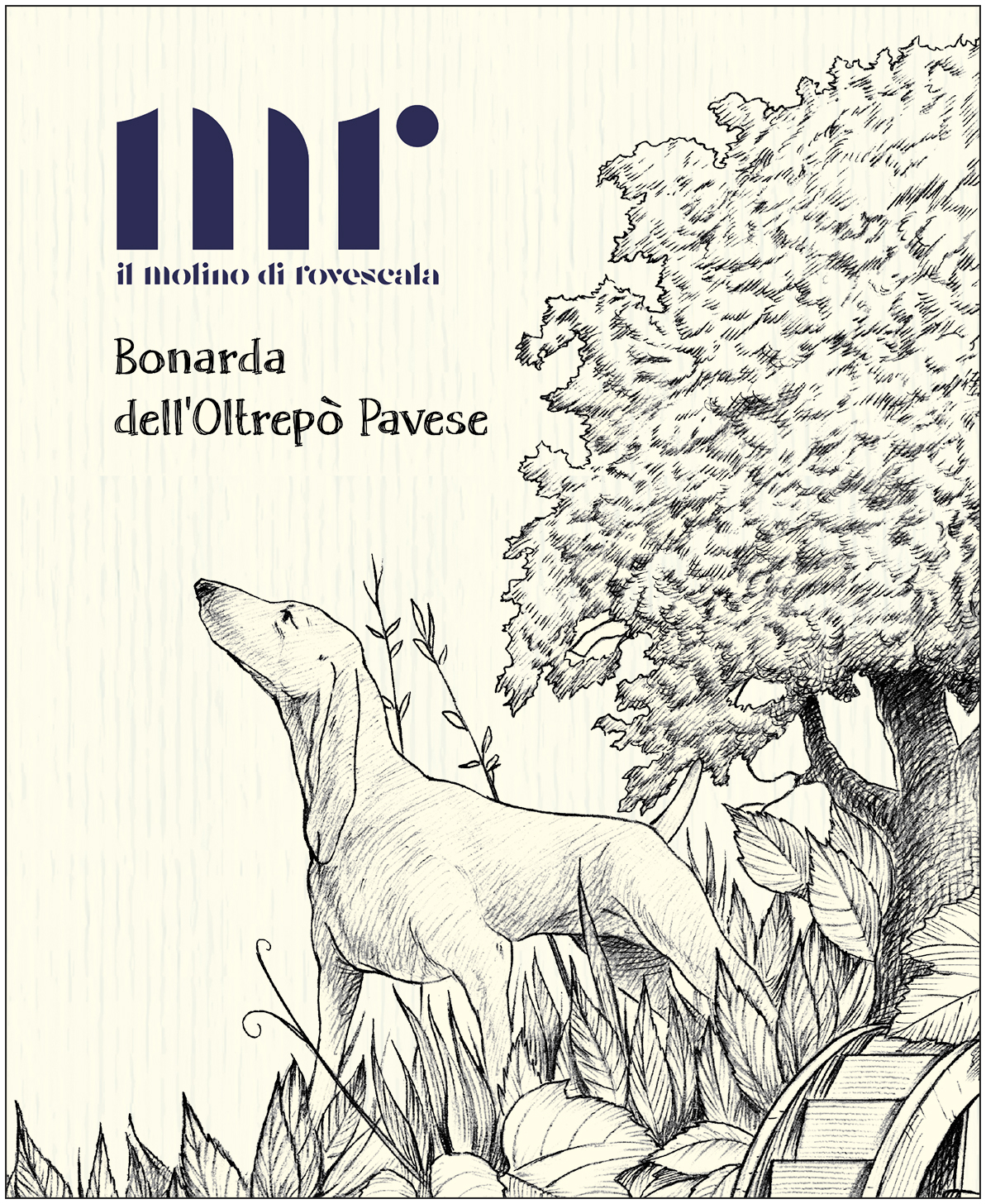 Bonarda dell'Oltrepò Pavese 2024