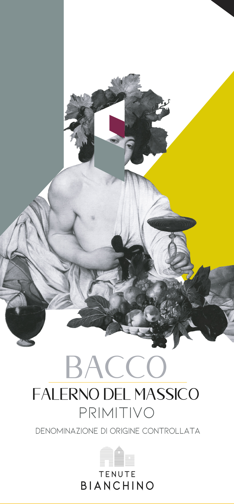 Bacco Falerno del Massico Primitivo 2015