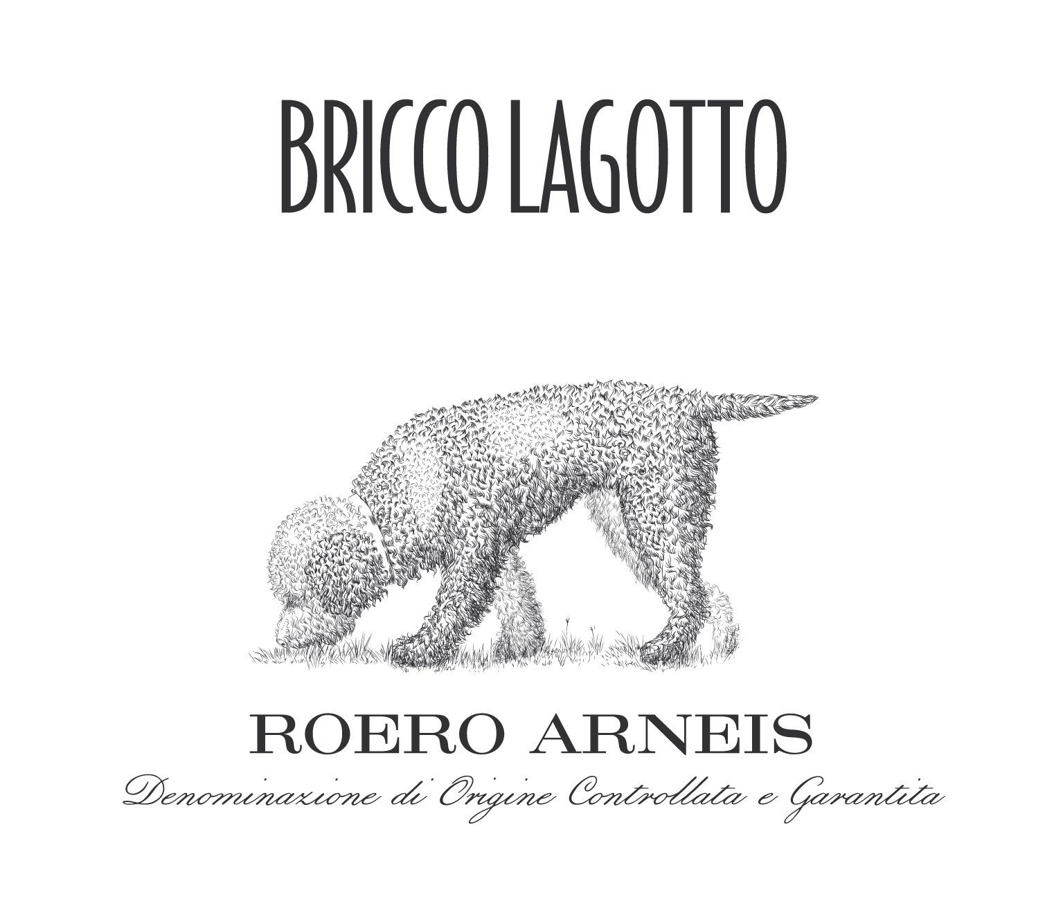 Bricco Lagotto Roero Arneis 2019