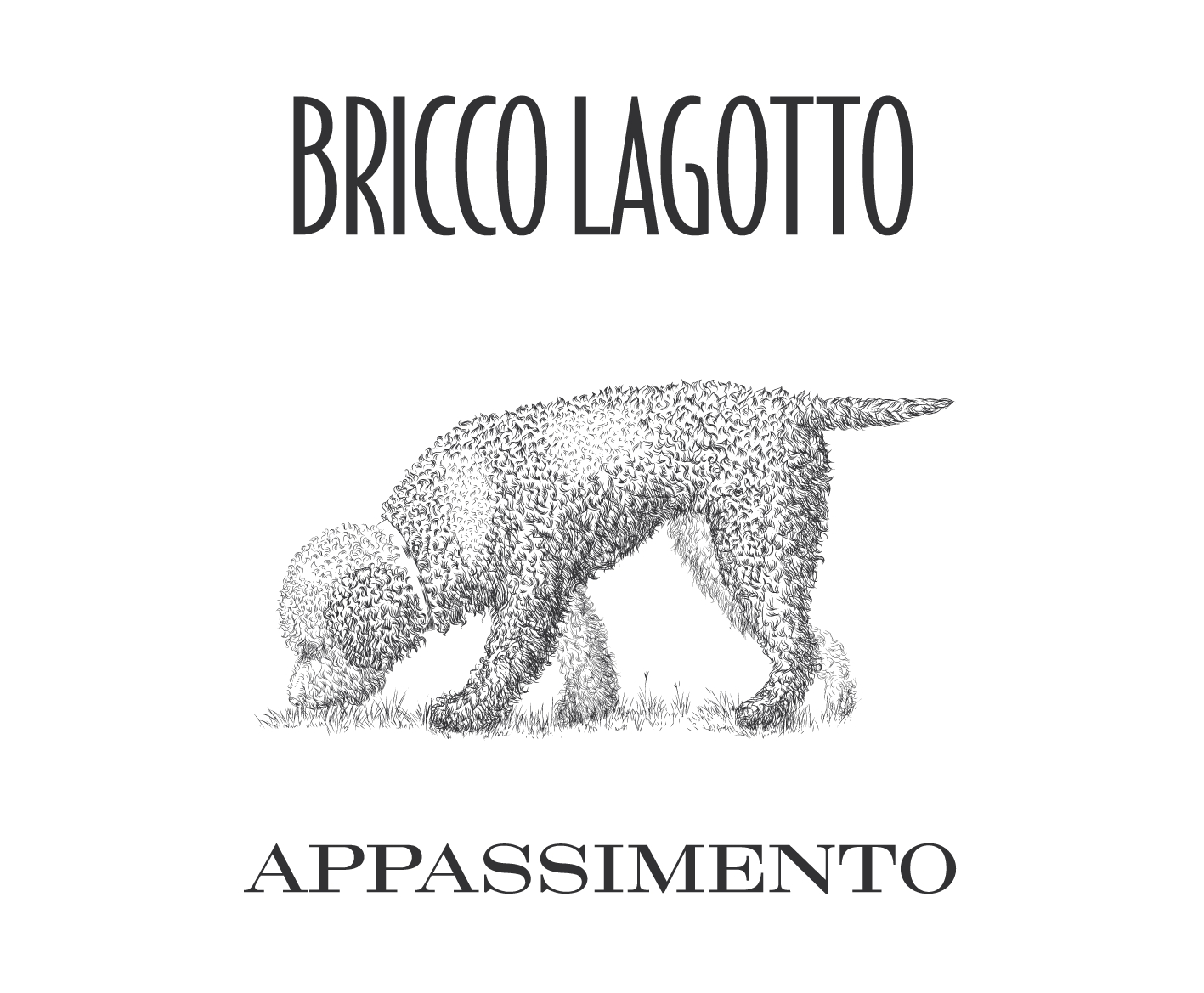 Bricco Lagotto Appassimento 2019