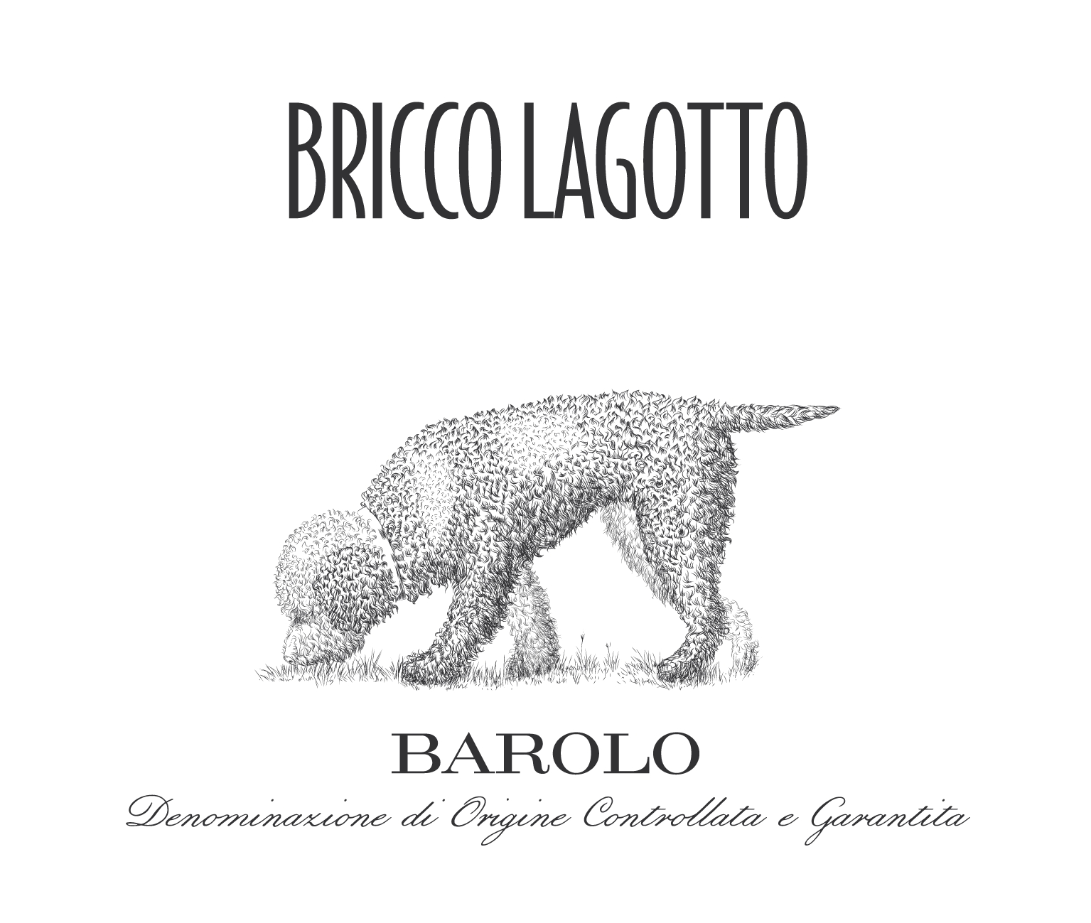 Bricco Lagotto Barolo 2015