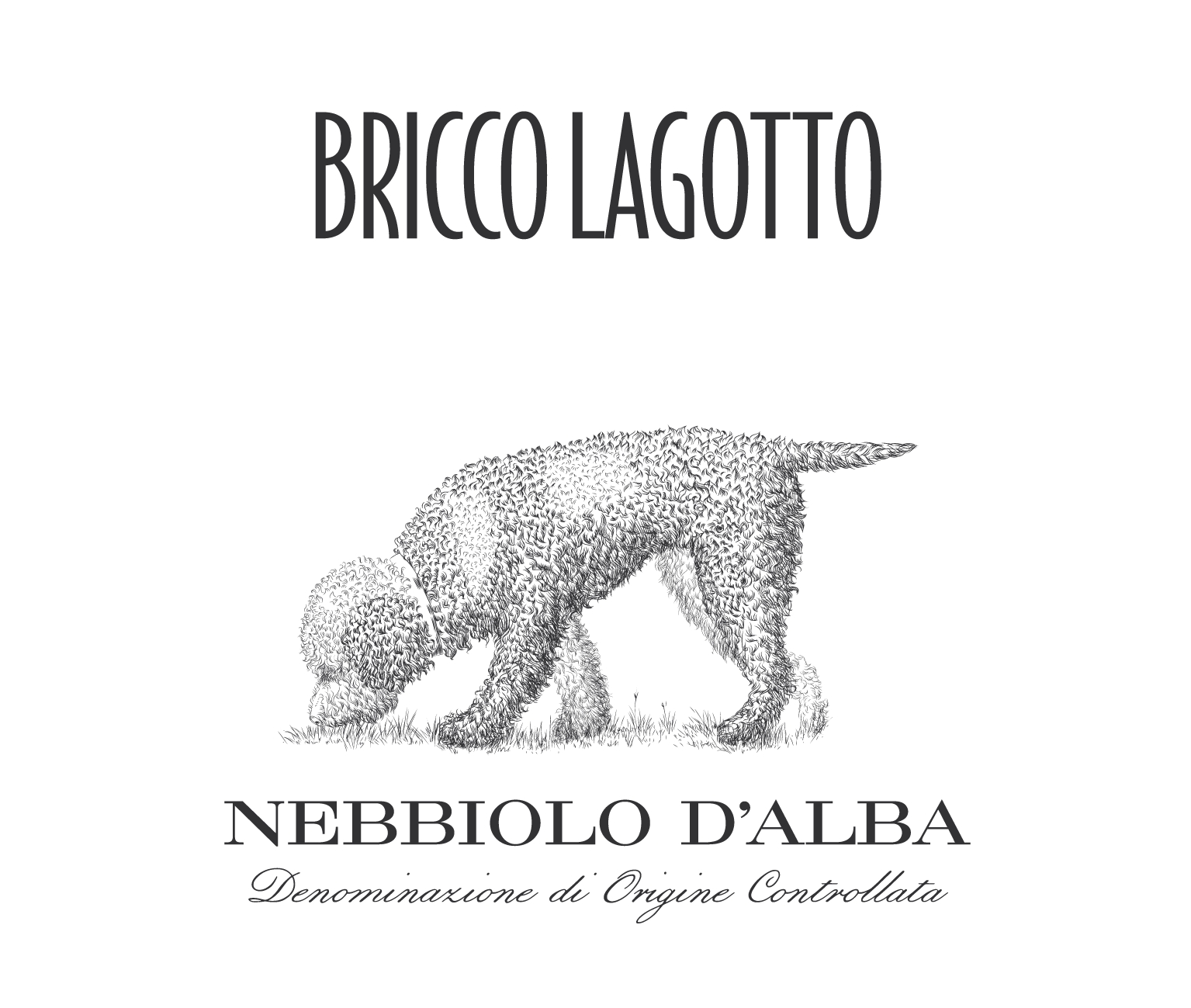 Bricco Lagotto Nebbiolo d'Alba 2018