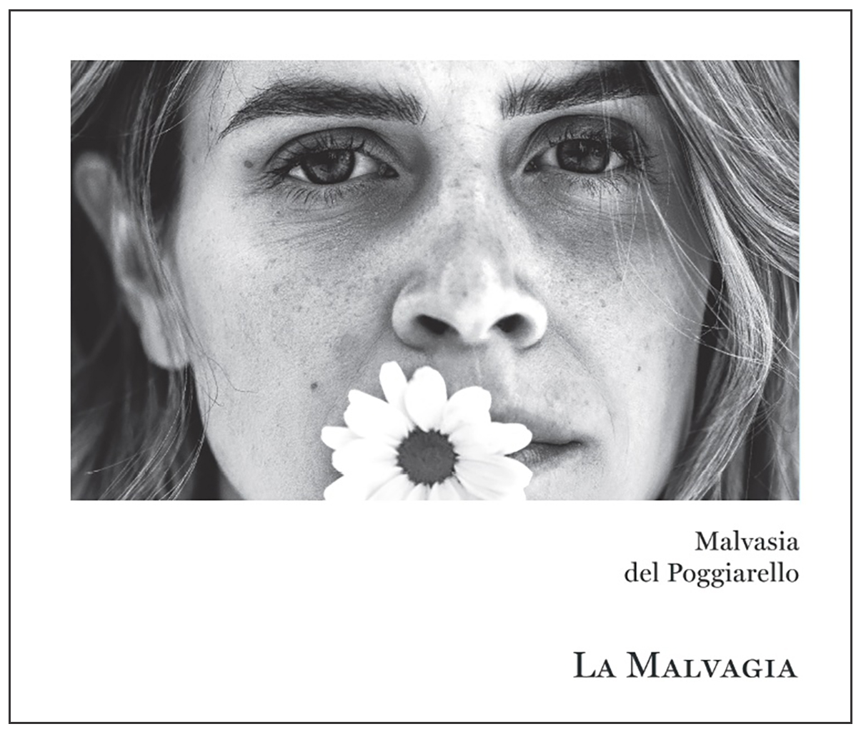 La Malvagia 2025