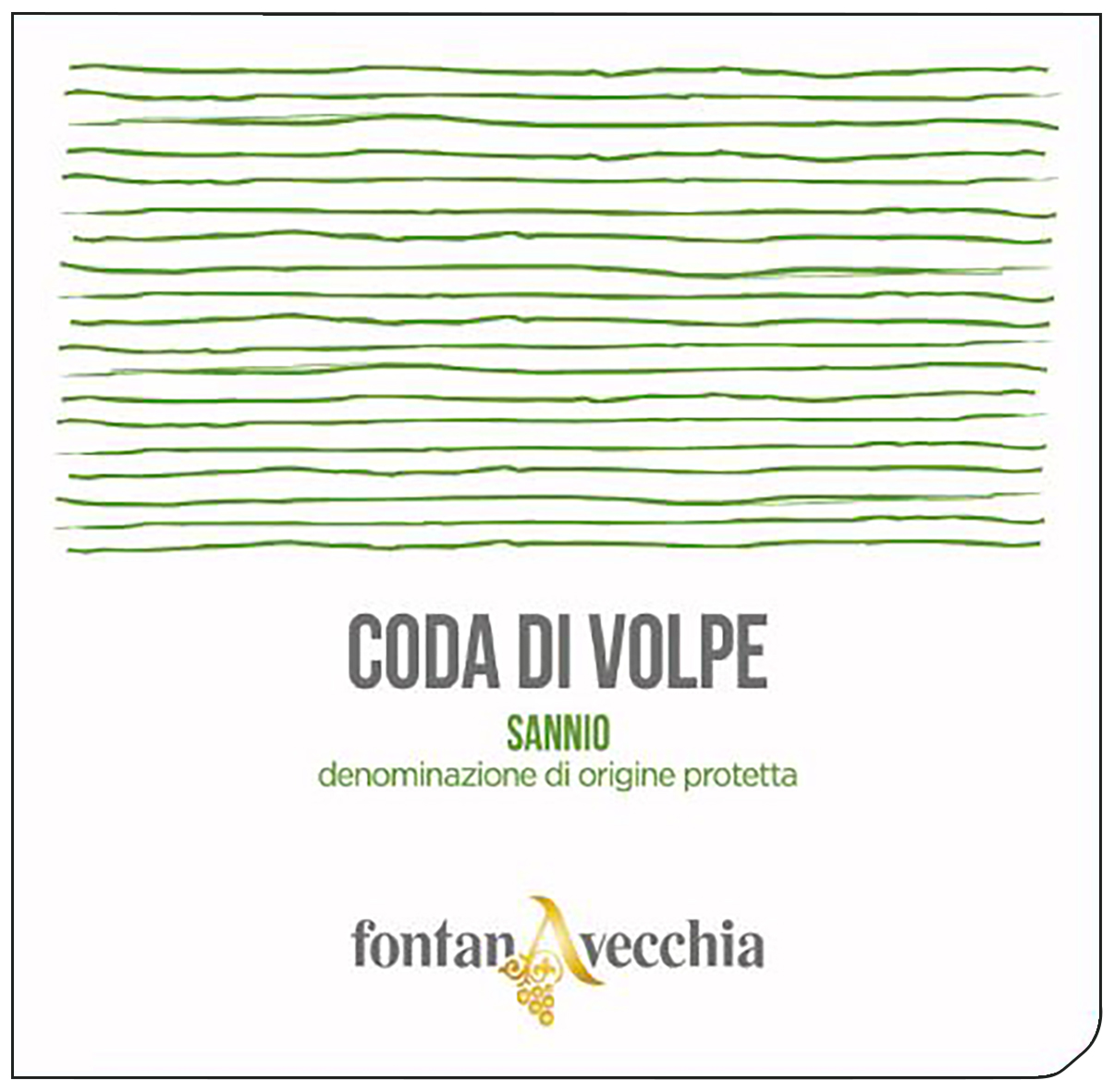Coda di Volpe Sannio 2024