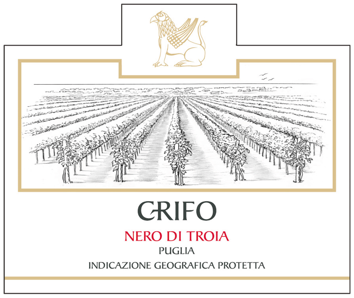 Terroir Nero di Troia Puglia Igp 2023