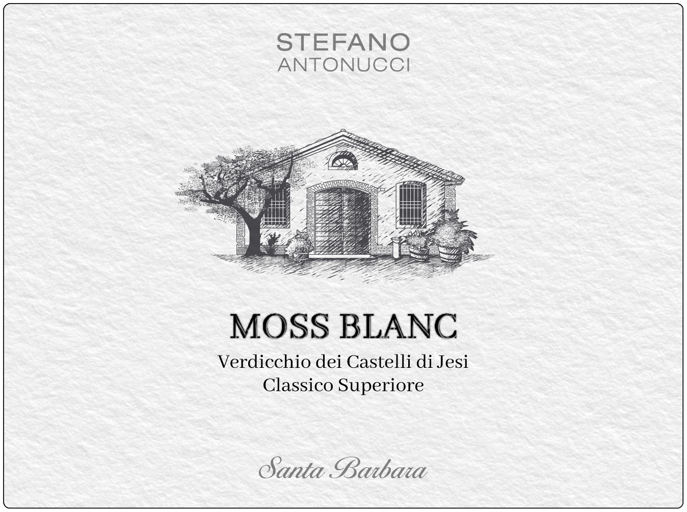 Moss Blanc Verdicchio Superiore 2019