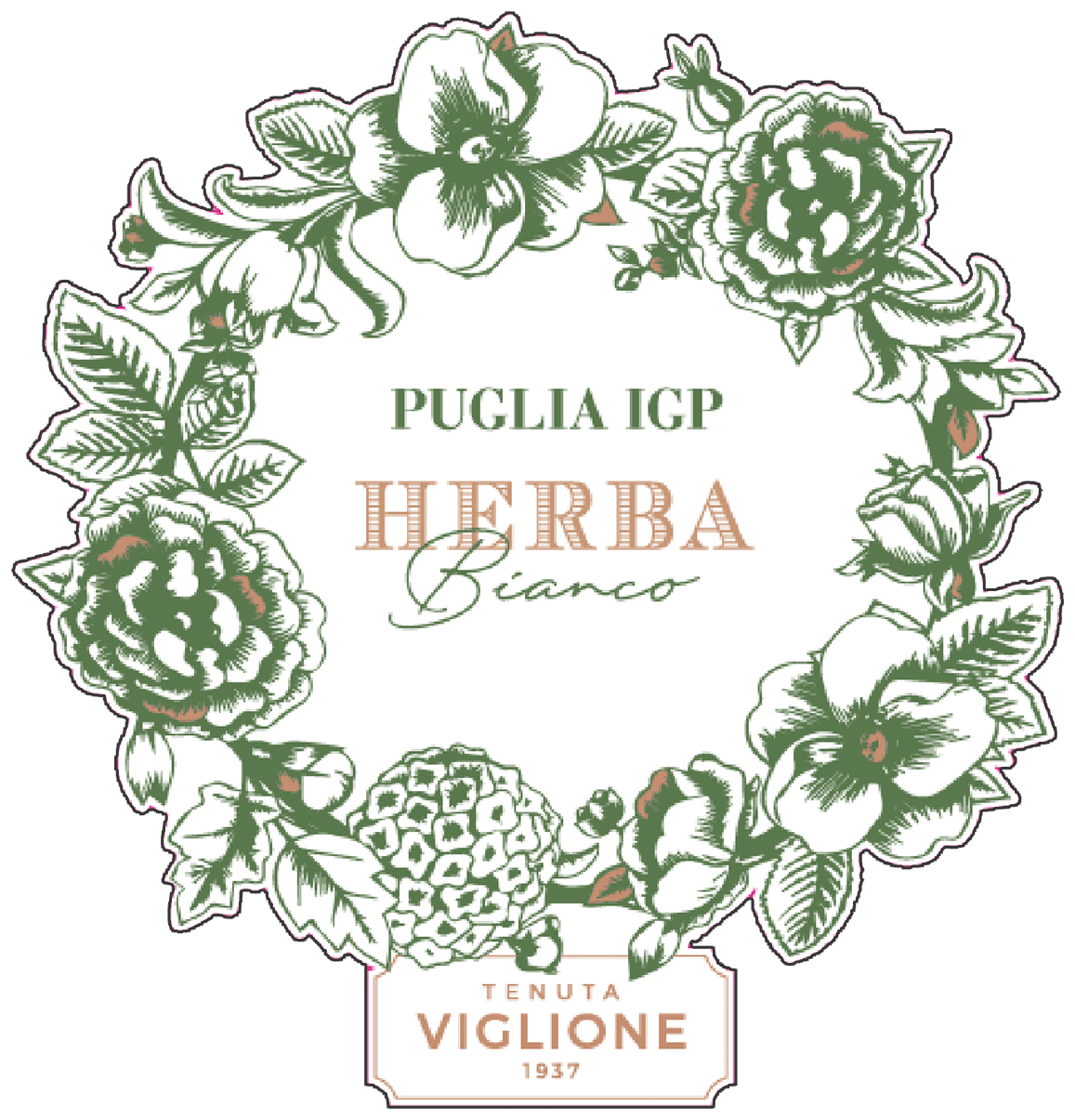 Herba Igp Biologico 2022