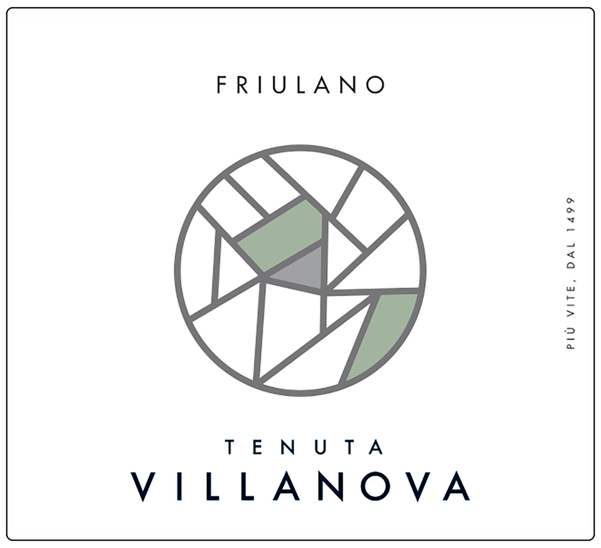 Friulano Isonzo 2024