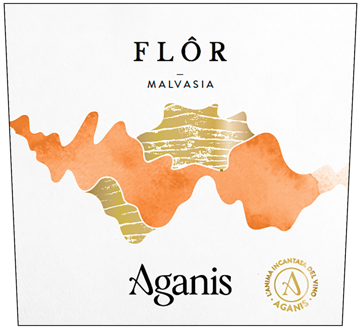 FlÔr Malvasia 2023