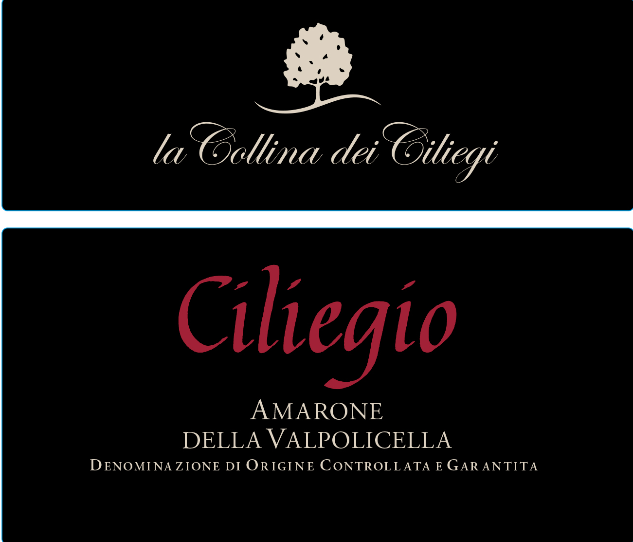 Ciliegio Amarone Della Valpolicella 2017