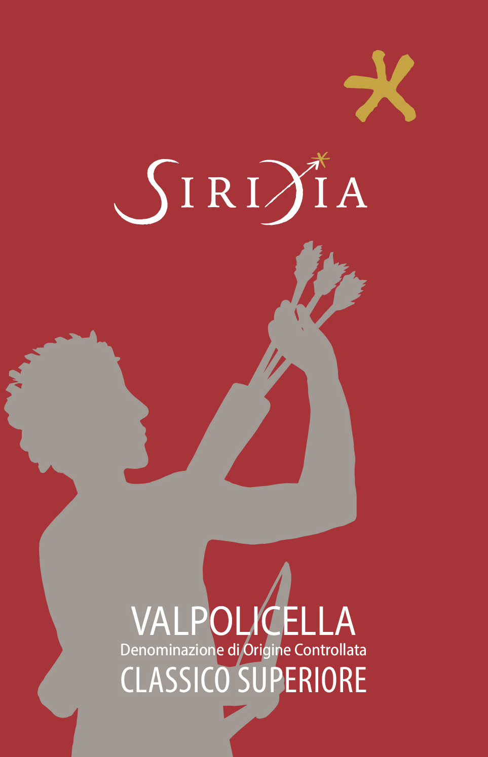 Valpolicella Classico Superiore Azione 2020