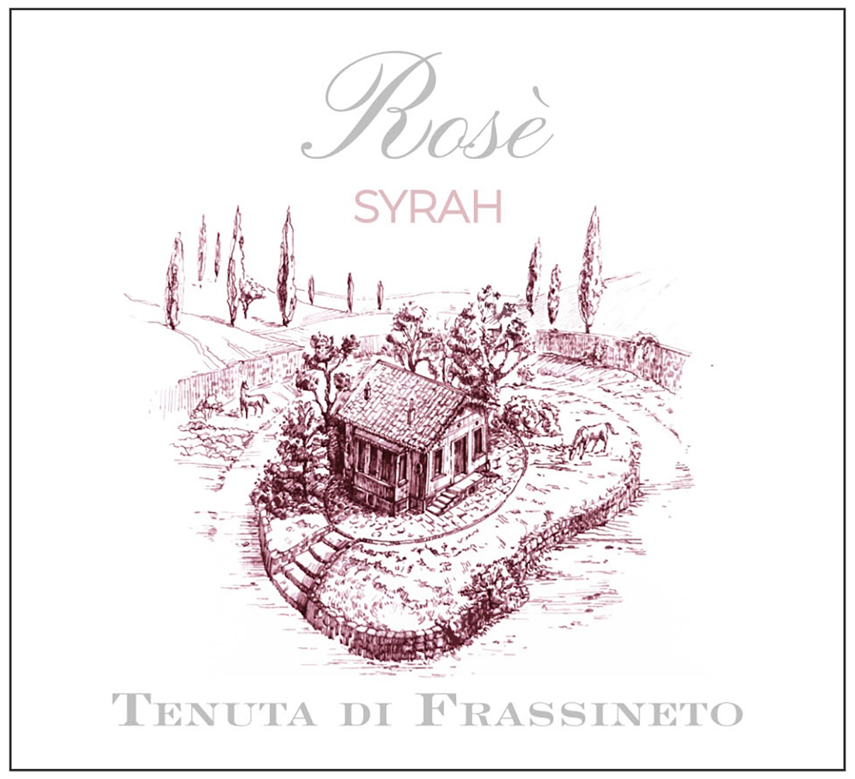 Rosè Syrah 2022