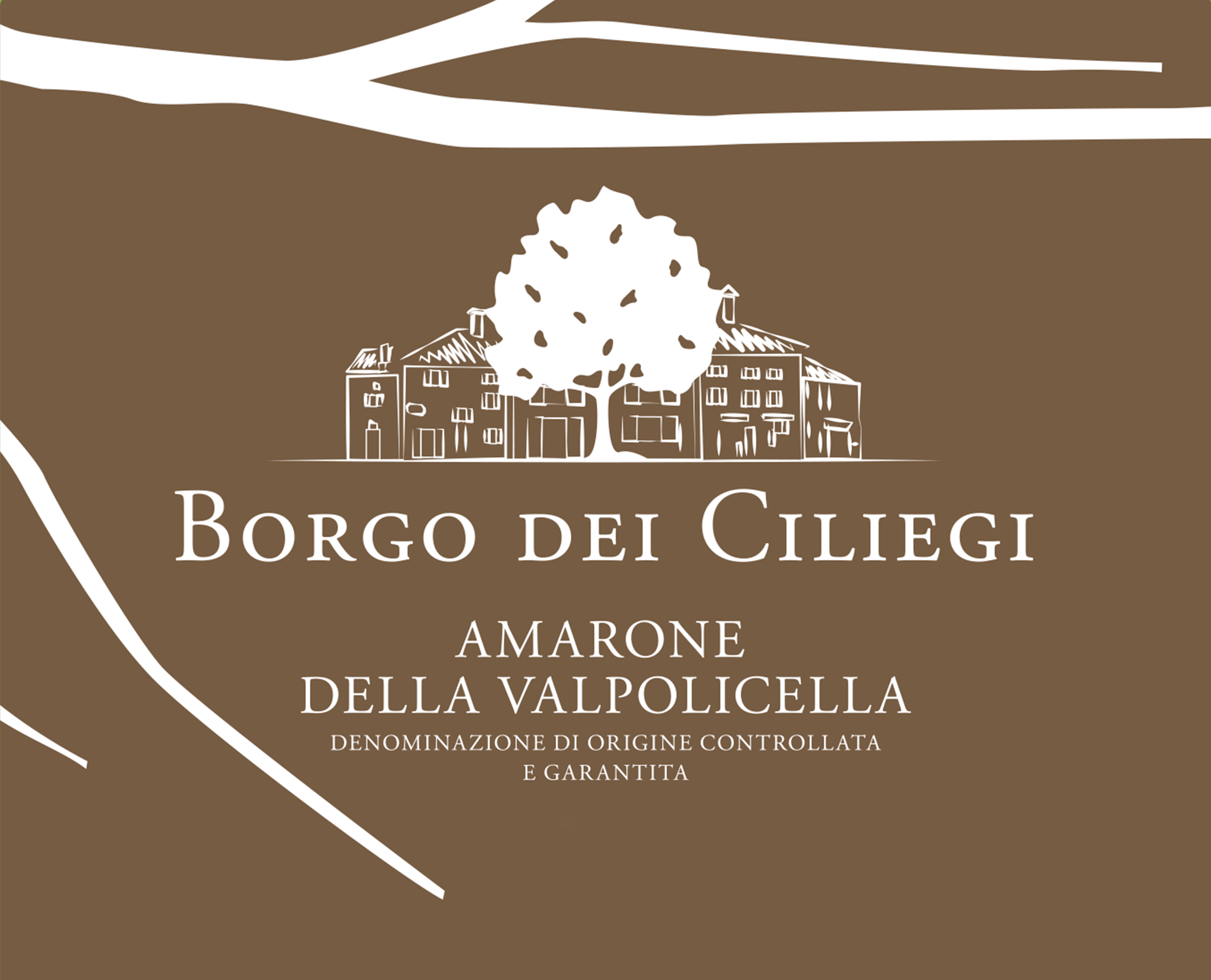 Borgo dei Ciliegi Amarone della Valpolicella 2017