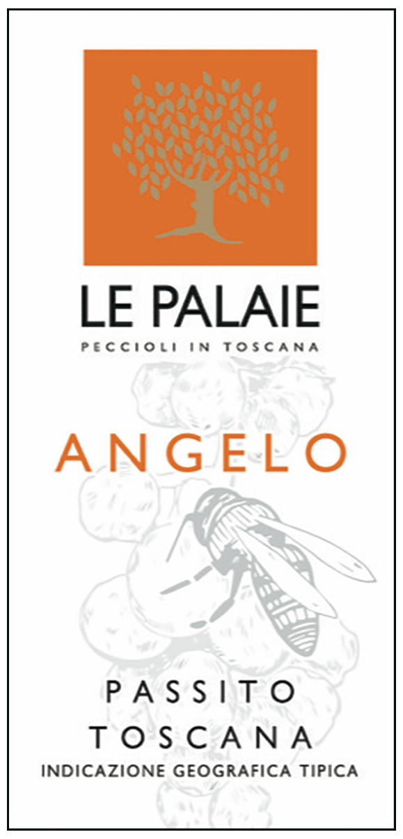 Angelo Passito 2020