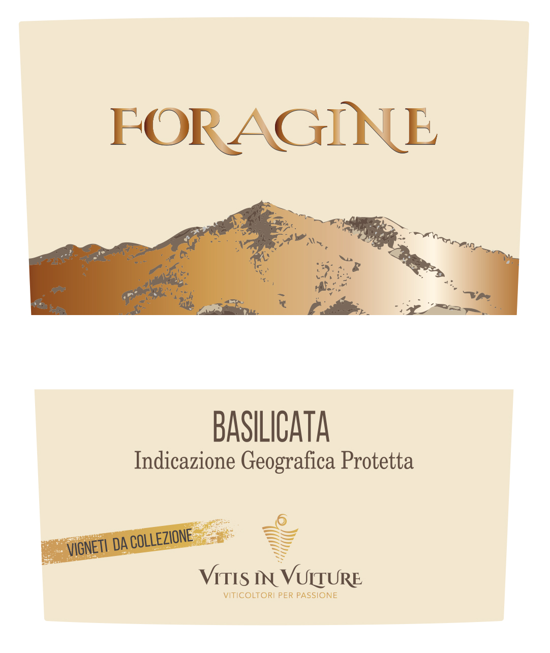 Foragine 2019