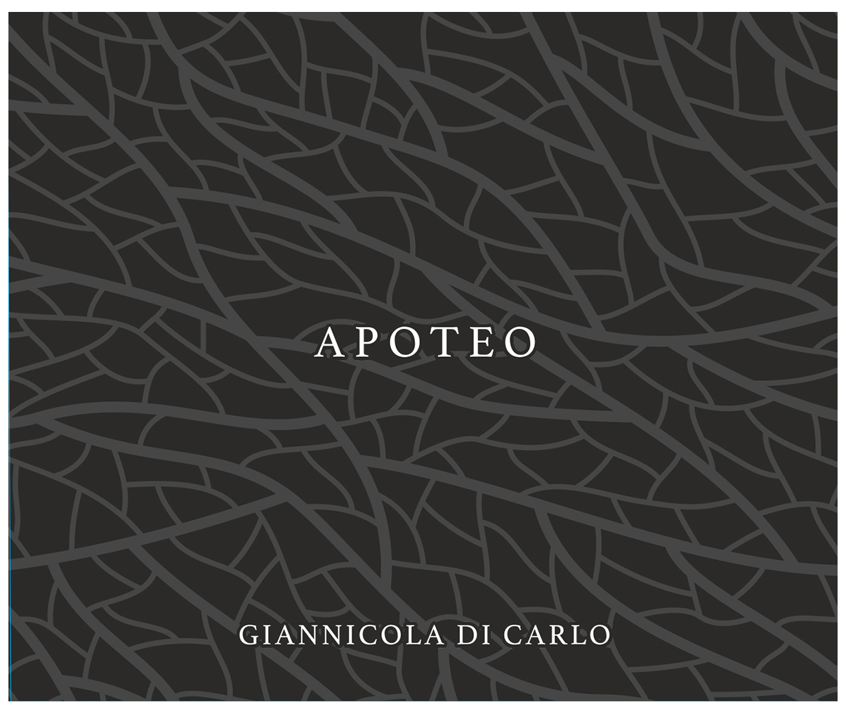 Apoteo Rosso Giannicola Di Carlo 2020