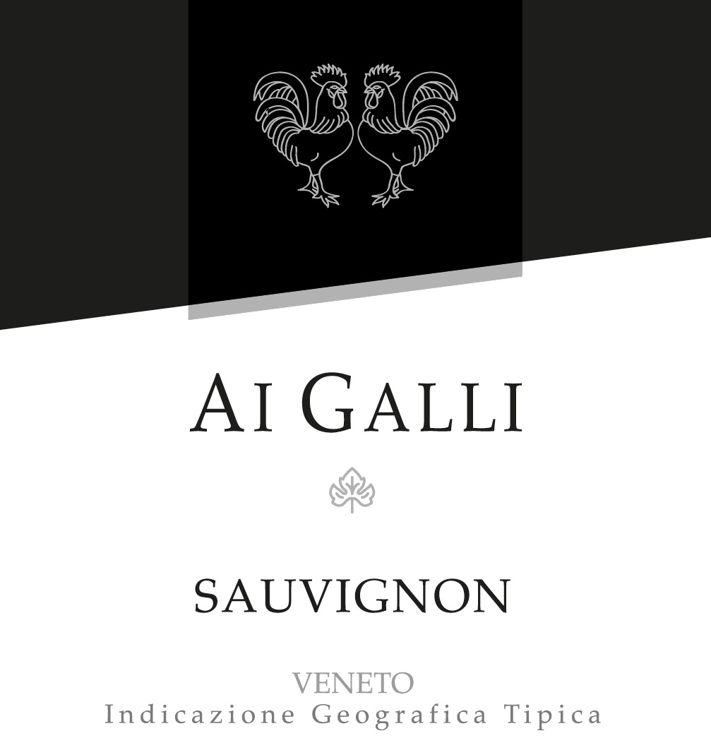 Sauvignon Veneto 2022