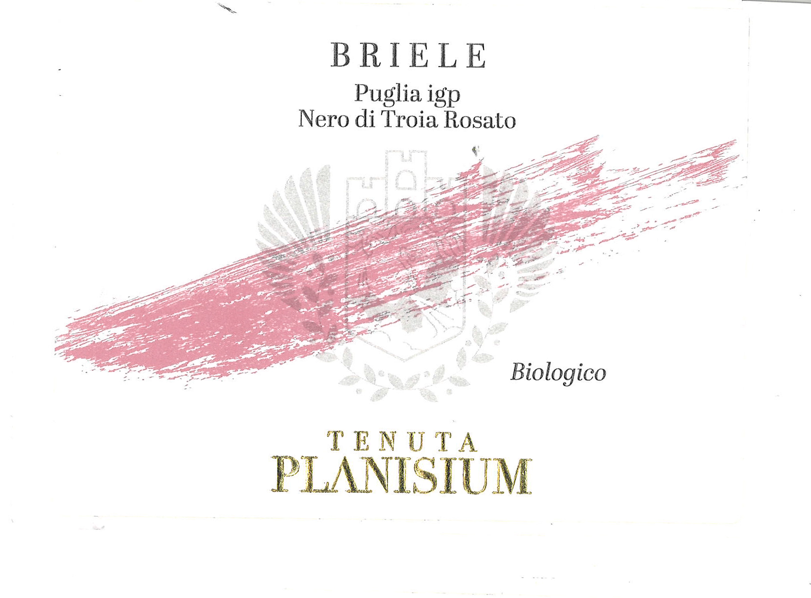 Briele 2021